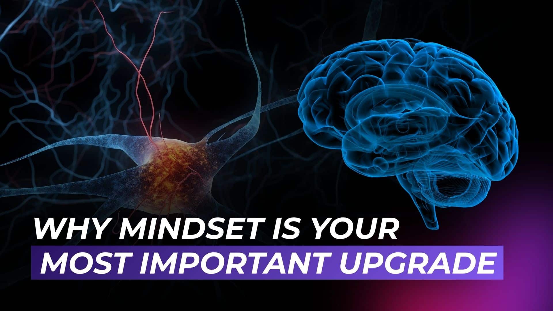 ATTN.LIVE WEB3AI Why Mindset is Your Most Important Upgrade