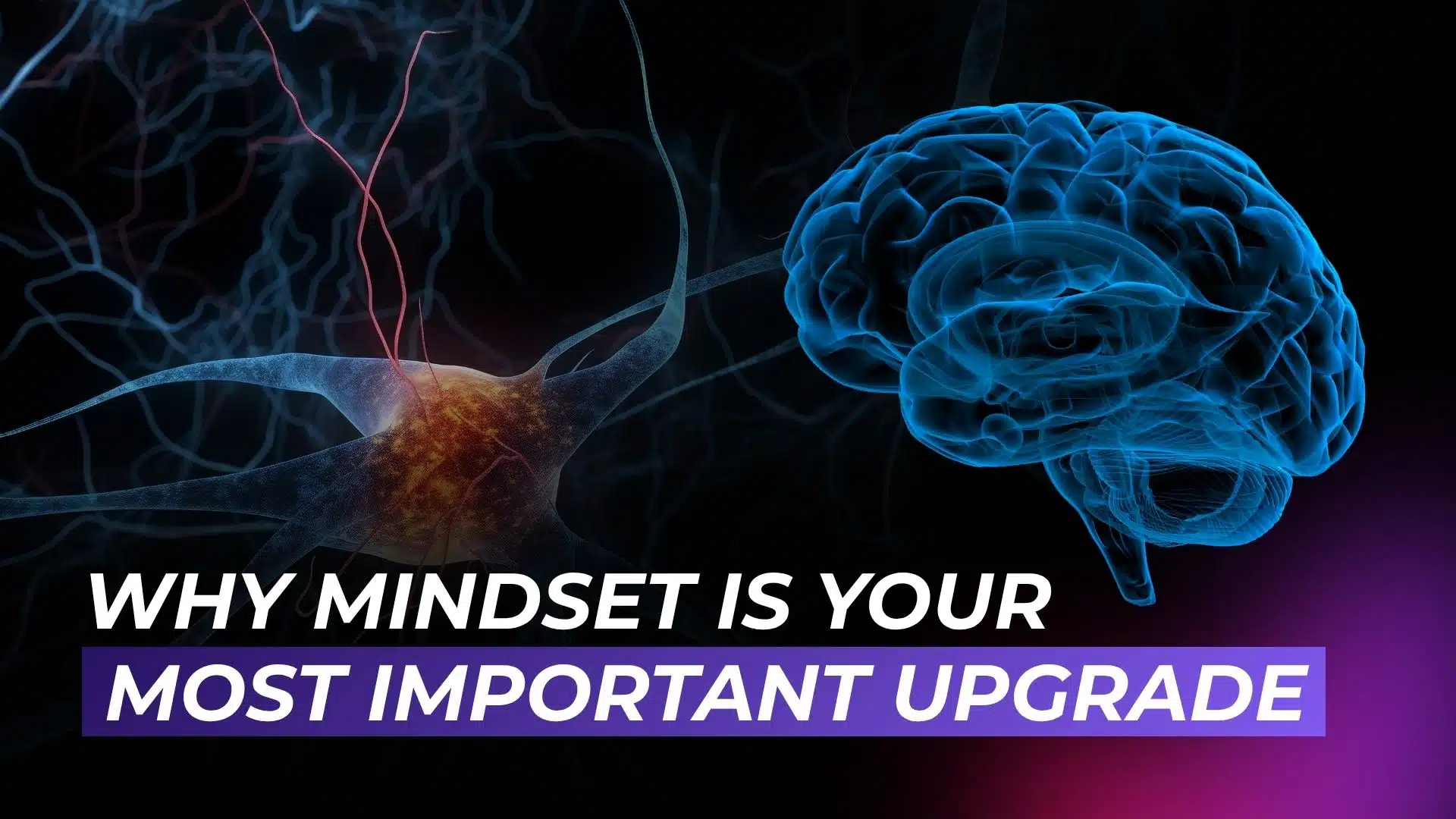 ATTN.LIVE WEB3AI Why Mindset is Your Most Important Upgrade